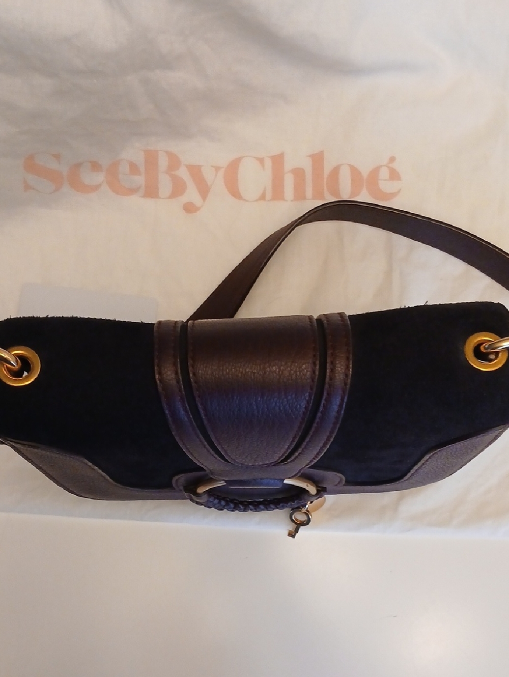 See By Chloe Black and Chocolate Brown Leather Crossbody Bag with Gold Hardware - Picture 6 of 16